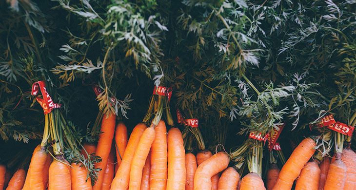 https://www.fairmont-miramar.com/content/uploads/2019/08/blog-4-simple-ways-to-cut-back-on-food-waste-carrots.jpeg